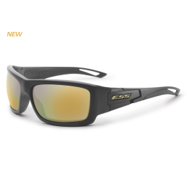 Credence Carbon Gray W/ Mirrored Brass | ESS EyePro