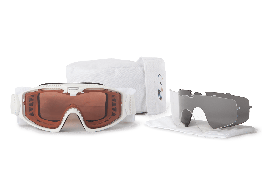 ESS INFLUX AVS ゴーグル 交換レンズ付き グレー Influx AVS Cold Weather w/Clear, Smoke Gray, Alpenglow | ESS EyePro